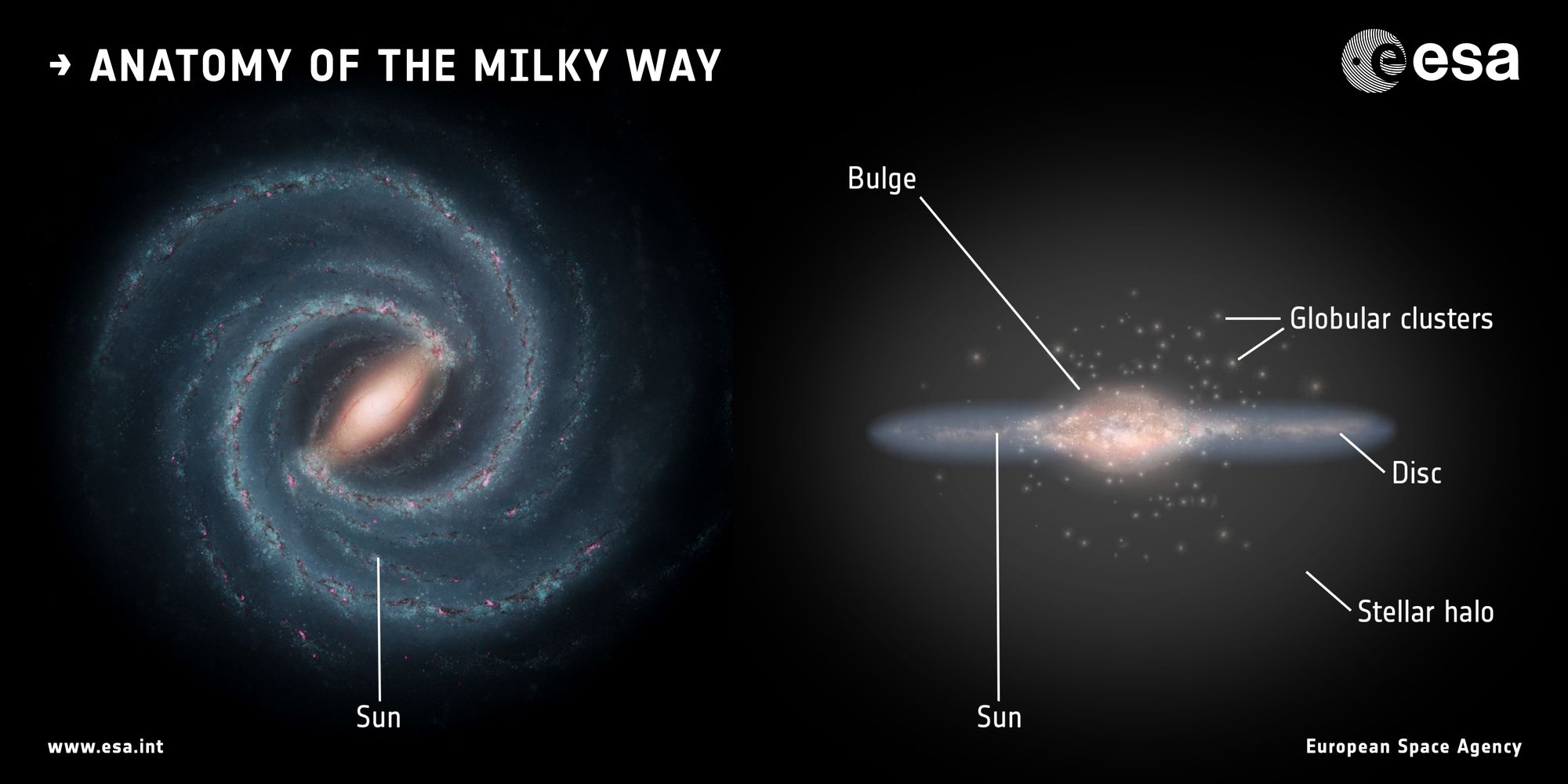 Combien y a-t-il d’étoiles dans notre galaxie, la Voie lactée, et quelle est sa masse ?