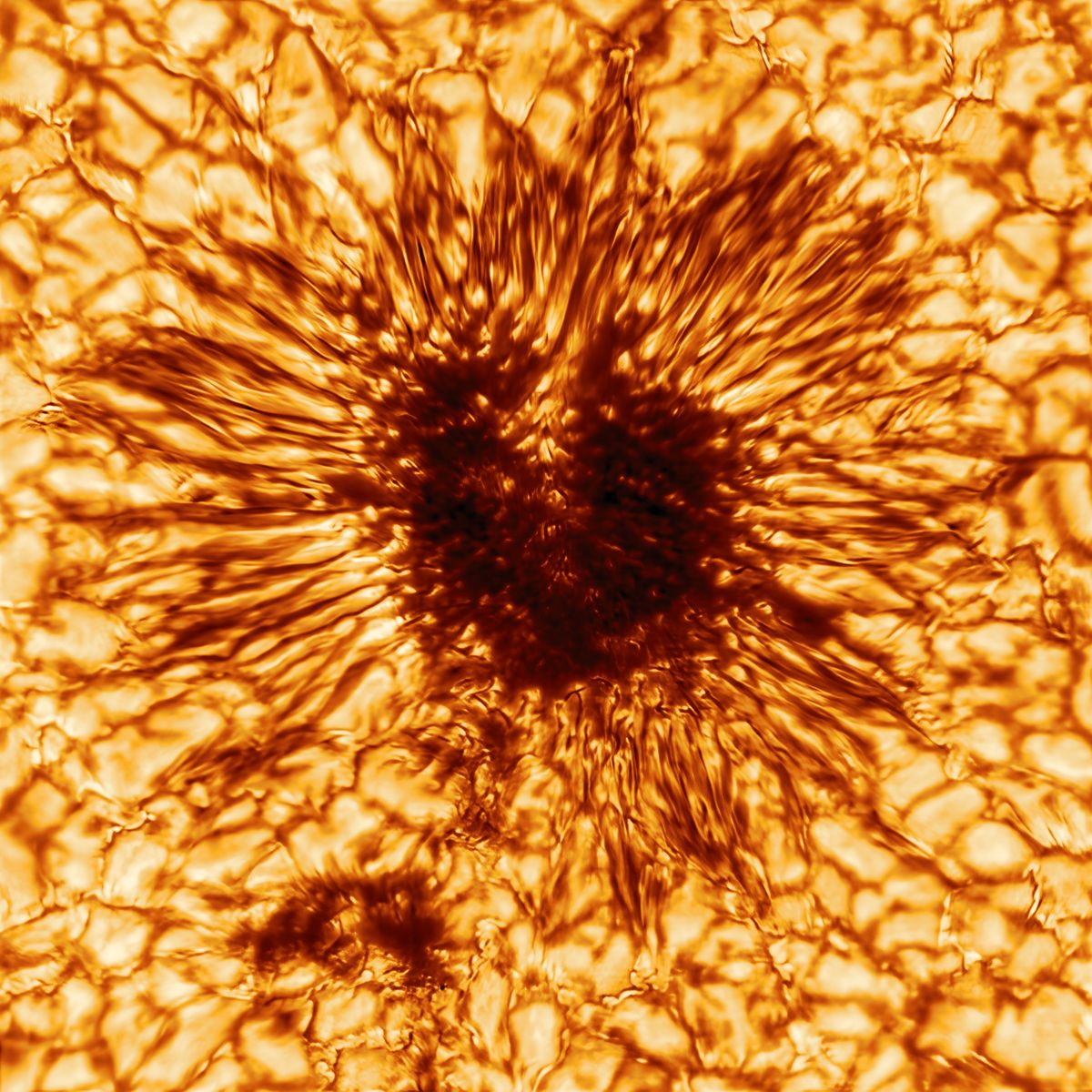 On n'avait jamais vu de tache solaire avec autant de détails