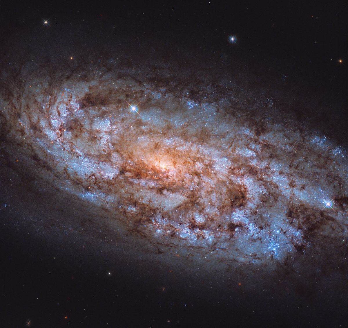 Détails magnifiques d'une galaxie spirale très féconde